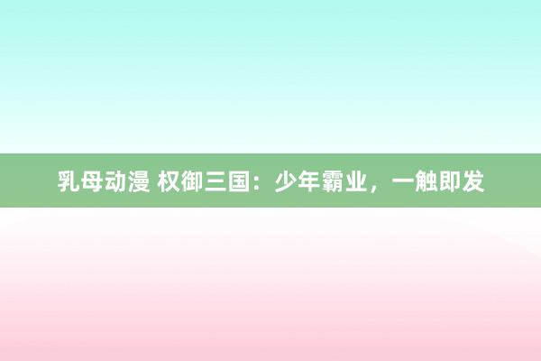 乳母动漫 权御三国：少年霸业，一触即发