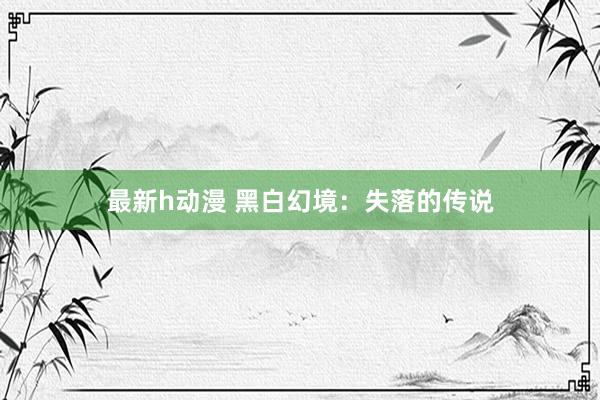 最新h动漫 黑白幻境：失落的传说