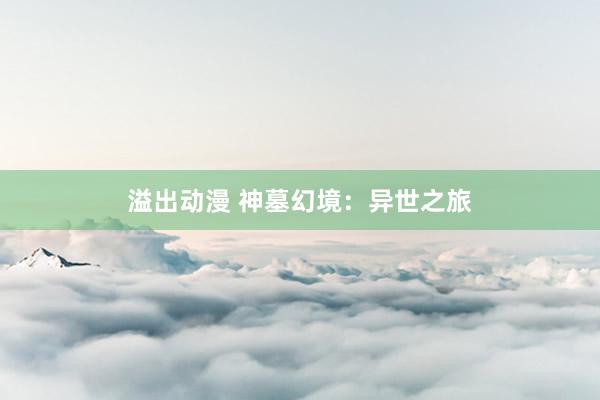 溢出动漫 神墓幻境：异世之旅